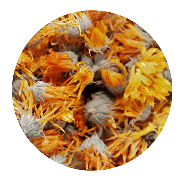 CALENDULA