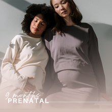 Load image into Gallery viewer, Prenatal Support Package
