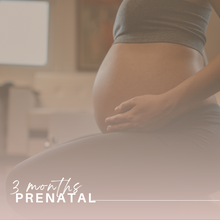 Load image into Gallery viewer, Prenatal Support Package
