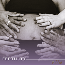 Load image into Gallery viewer, 12-Month Fertility Wellness Program
