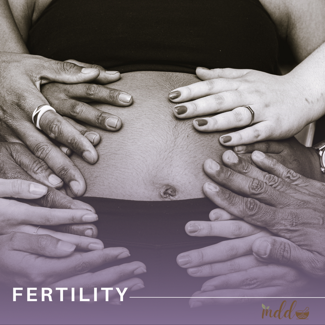 12-Month Fertility Wellness Program